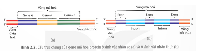 Tài Liệu Bee
