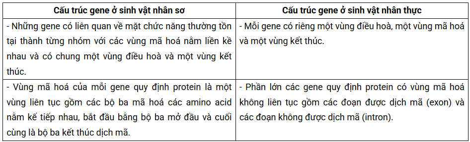 Tài Liệu Bee