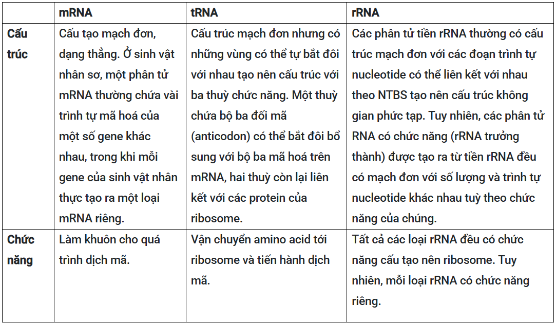 Tài Liệu Bee