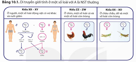 Tài Liệu Bee