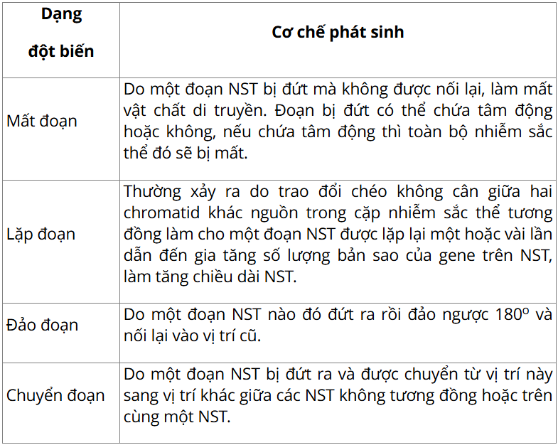 Tài Liệu Bee