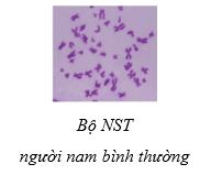 Tài Liệu Bee