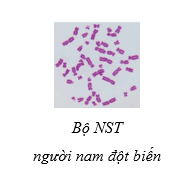 Tài Liệu Bee