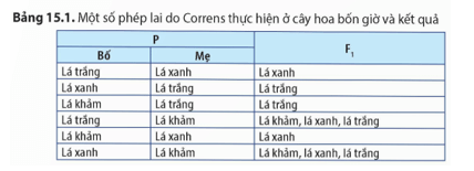 Tài Liệu Bee
