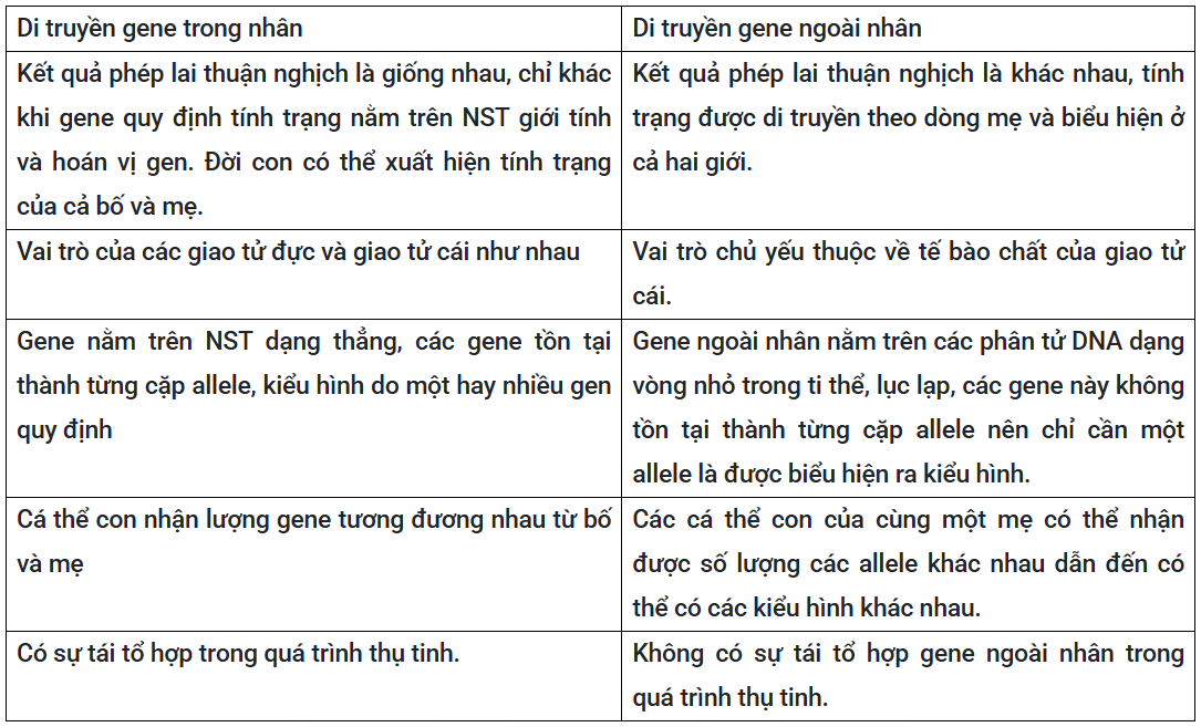 Tài Liệu Bee