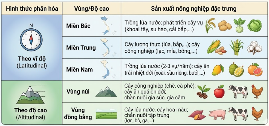Tài Liệu Bee