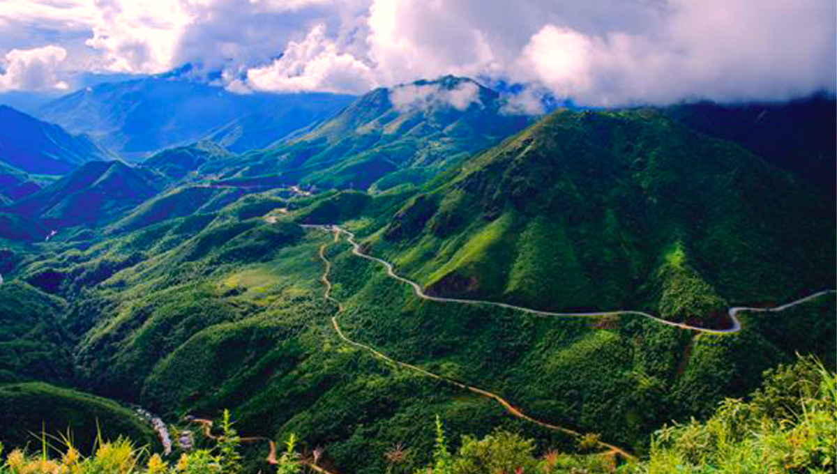 Tài Liệu Bee