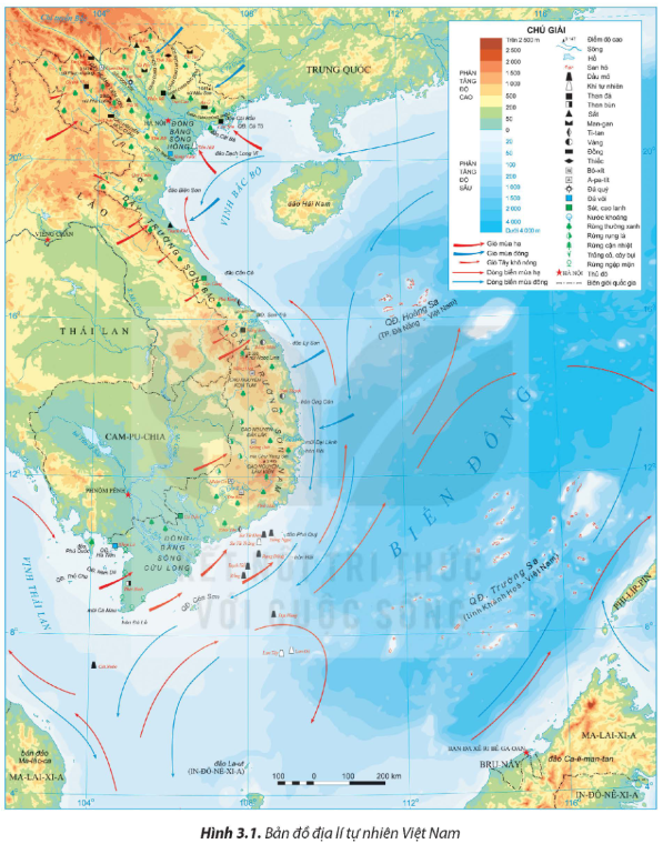 Tài Liệu Bee