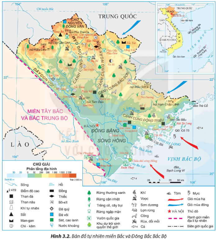 Tài Liệu Bee