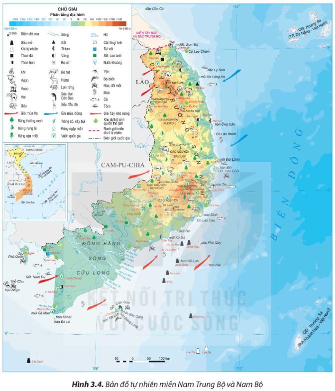 Tài Liệu Bee