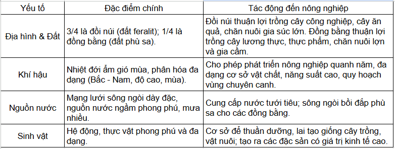 Tài Liệu Bee