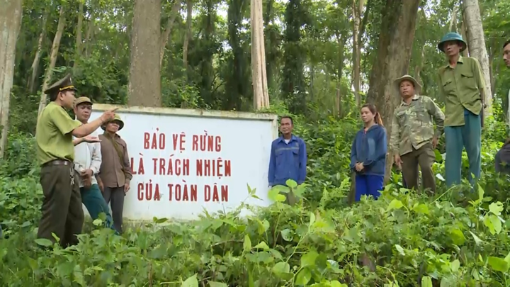 Tài Liệu Bee