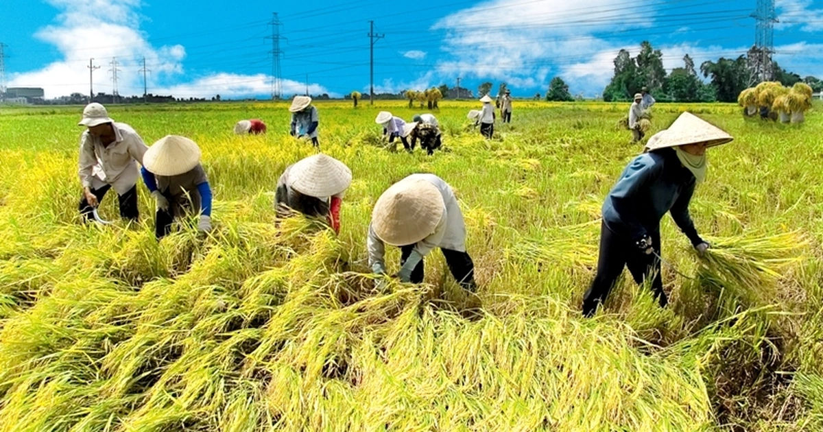 Tài Liệu Bee