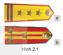 Tài Liệu Bee