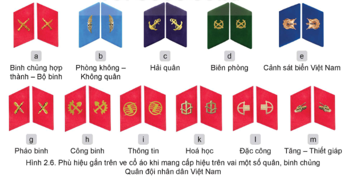 Tài Liệu Bee