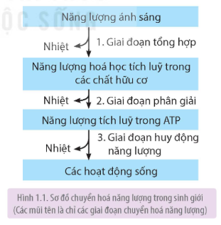 Tài Liệu Bee