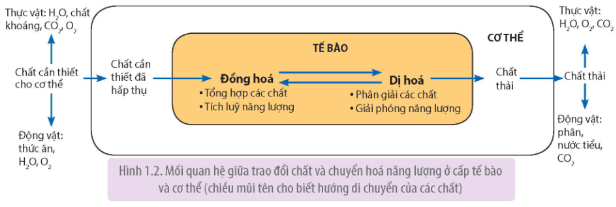 Tài Liệu Bee