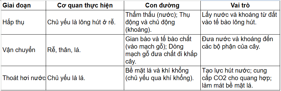 Tài Liệu Bee