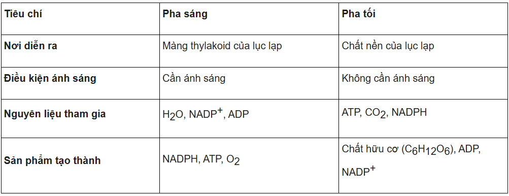 Tài Liệu Bee