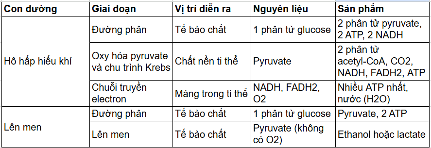 Tài Liệu Bee