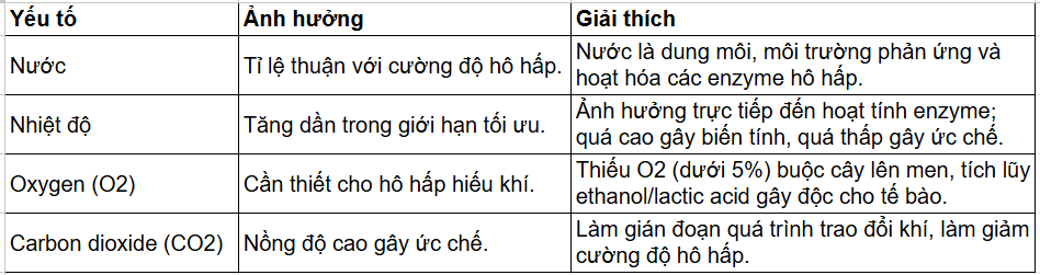 Tài Liệu Bee