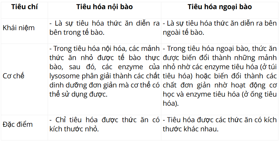 Tài Liệu Bee