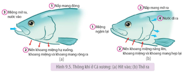 Tài Liệu Bee