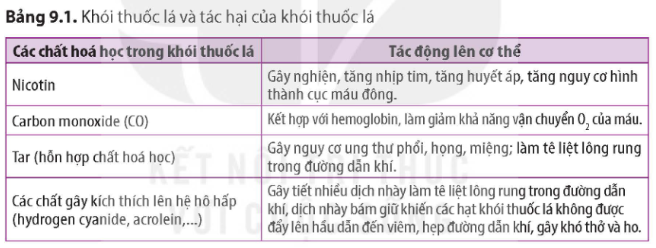 Tài Liệu Bee