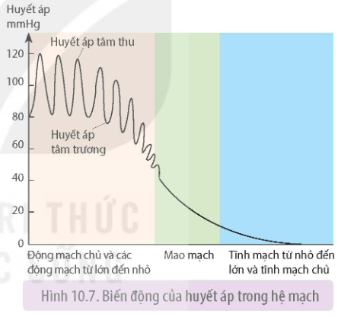 Tài Liệu Bee