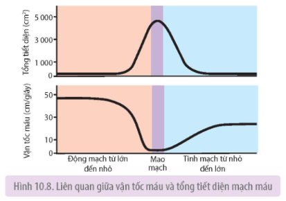 Tài Liệu Bee