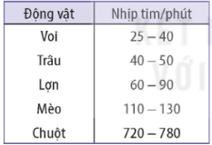 Tài Liệu Bee