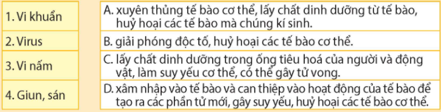 Tài Liệu Bee