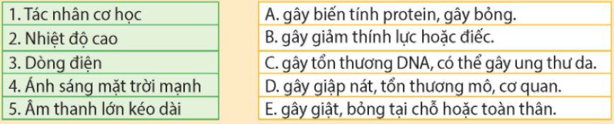 Tài Liệu Bee