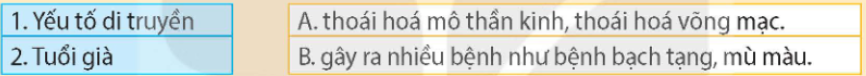 Tài Liệu Bee