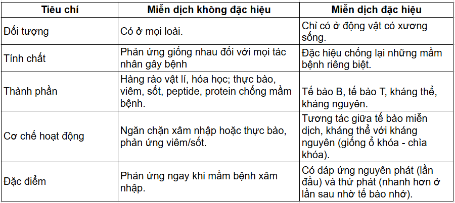 Tài Liệu Bee