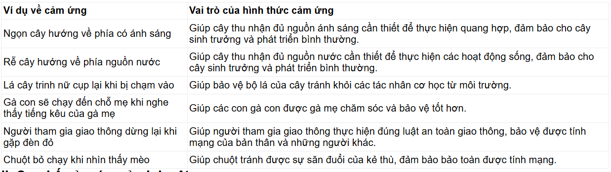 Tài Liệu Bee