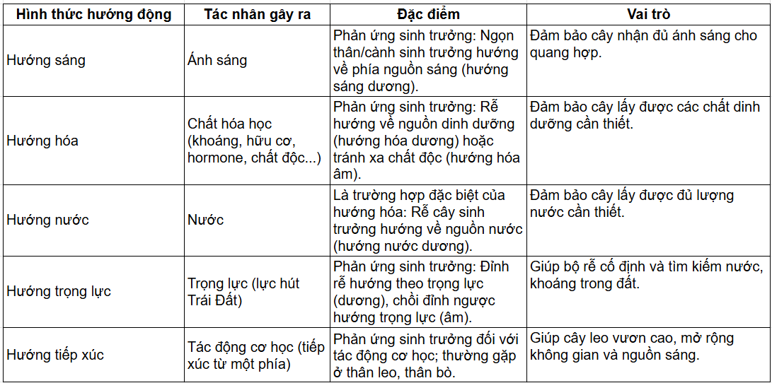 Tài Liệu Bee