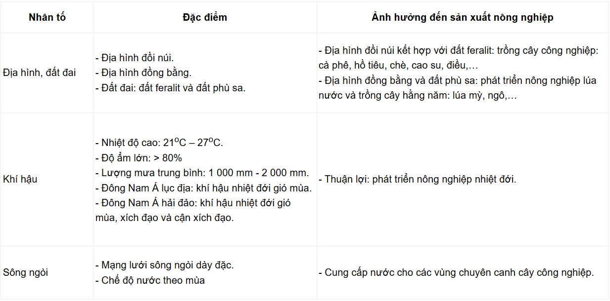 Tài Liệu Bee
