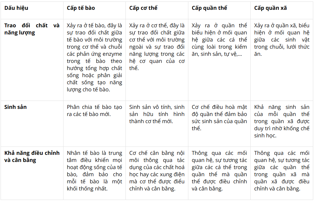 Tài Liệu Bee