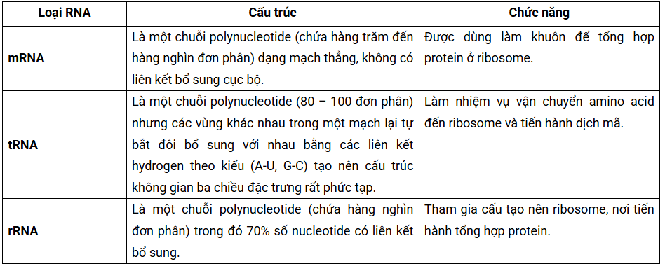Tài Liệu Bee