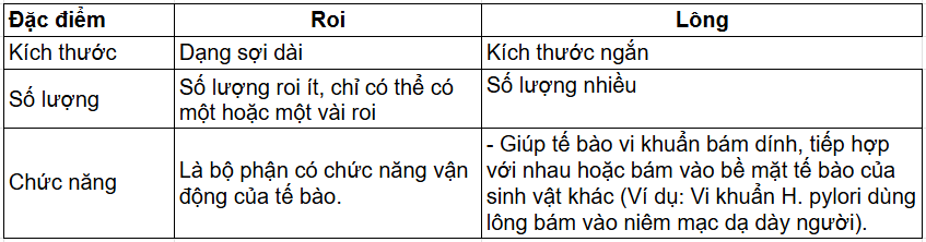 Tài Liệu Bee