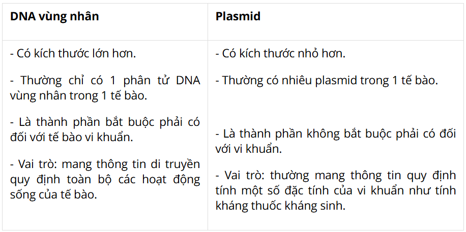 Tài Liệu Bee
