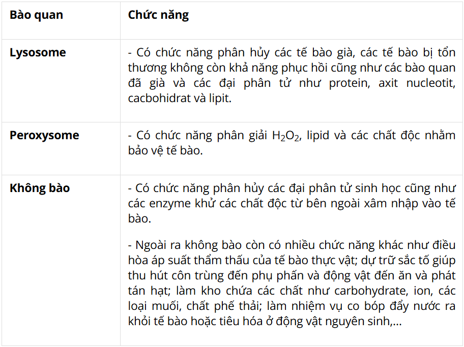 Tài Liệu Bee