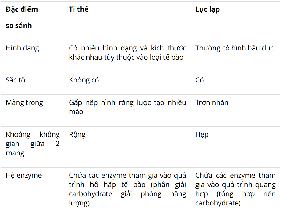 Tài Liệu Bee