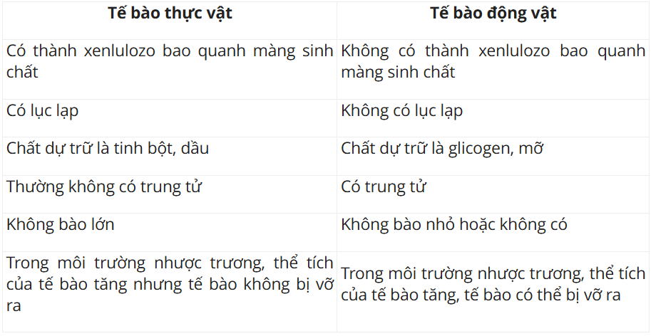 Tài Liệu Bee