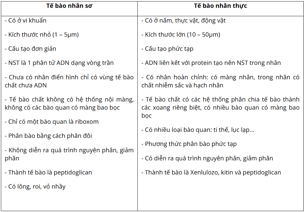 Tài Liệu Bee