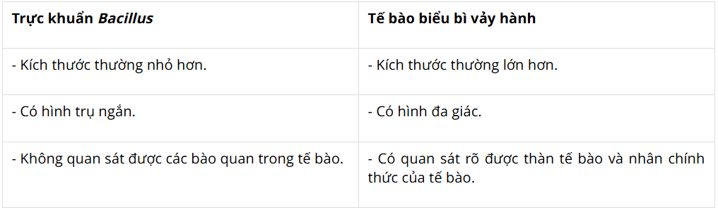 Tài Liệu Bee