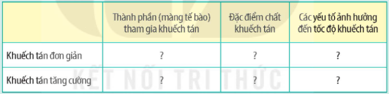 Tài Liệu Bee