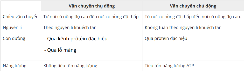 Tài Liệu Bee