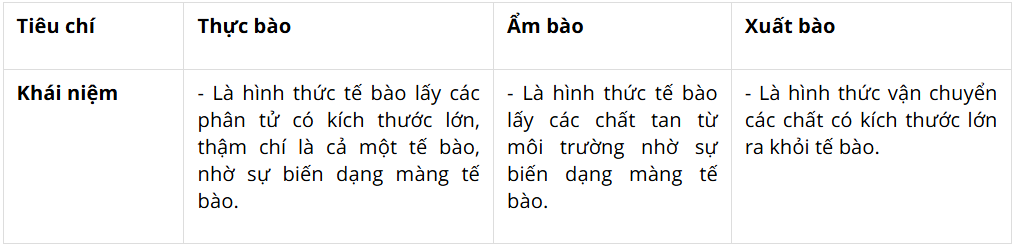 Tài Liệu Bee